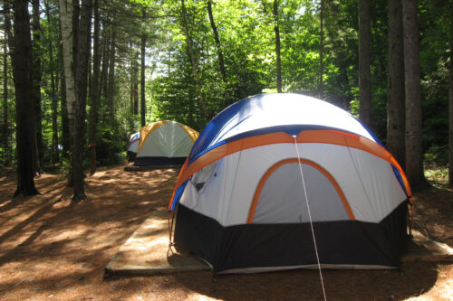 Deux tentes installées dans un boisé lumineux, illustrant un séjour de camping.
