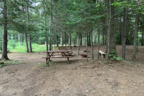 Aire de pique-nique boisée avec table, bancs et foyer, située sur le terrain de camping.