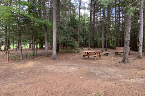 Site de camping boisé avec tables de pique-nique et bancs en bois sous les arbres.