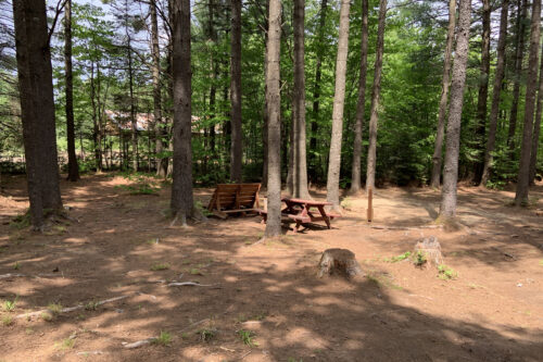 Site de camping boisée avec tables de pique-nique, bancs et aire de feu.