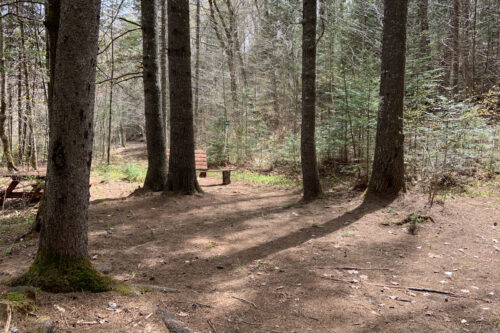 Site de camping ombragé en forêt avec bancs rustiques.